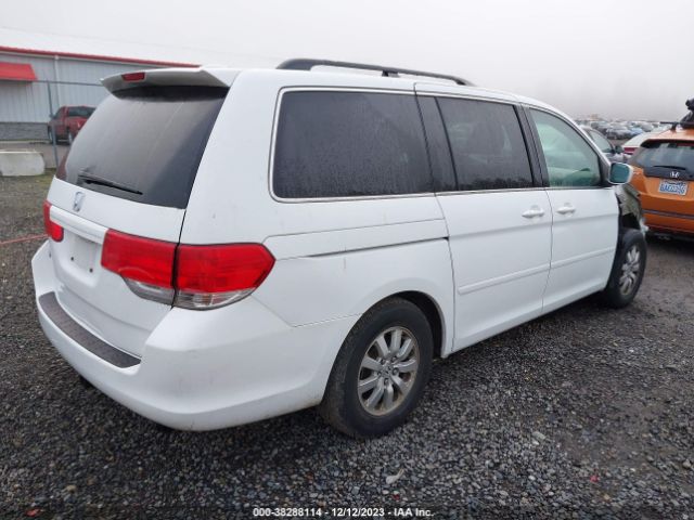 Photo 3 VIN: 5FNRL3H71AB095267 - HONDA ODYSSEY 