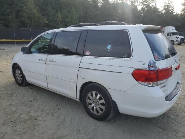 Photo 1 VIN: 5FNRL3H73AB097280 - HONDA ODYSSEY EX 