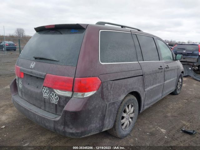 Photo 3 VIN: 5FNRL3H75AB080514 - HONDA ODYSSEY 