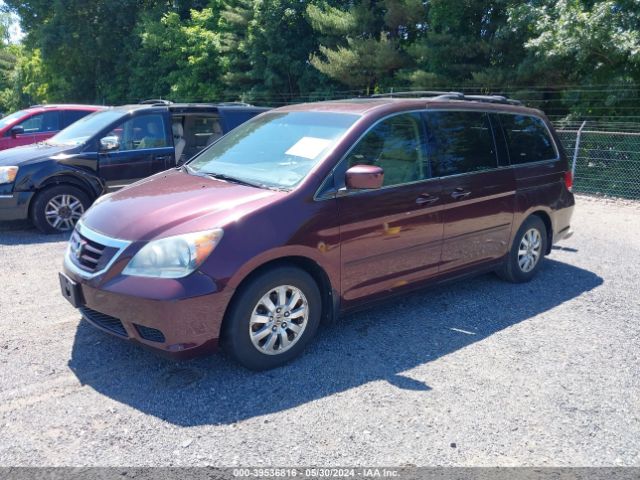 Photo 1 VIN: 5FNRL3H76AB017907 - HONDA ODYSSEY 