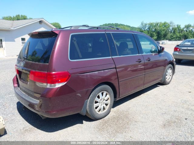 Photo 3 VIN: 5FNRL3H76AB017907 - HONDA ODYSSEY 