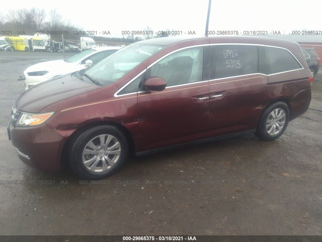 Photo 5 VIN: 5FNRL5H36GB116874 - HONDA ODYSSEY 