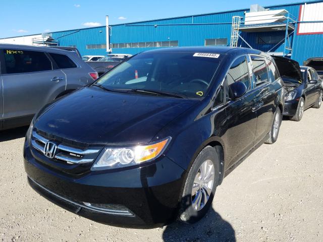 Photo 1 VIN: 5FNRL5H40GB503977 - HONDA ODYSSEY EX 