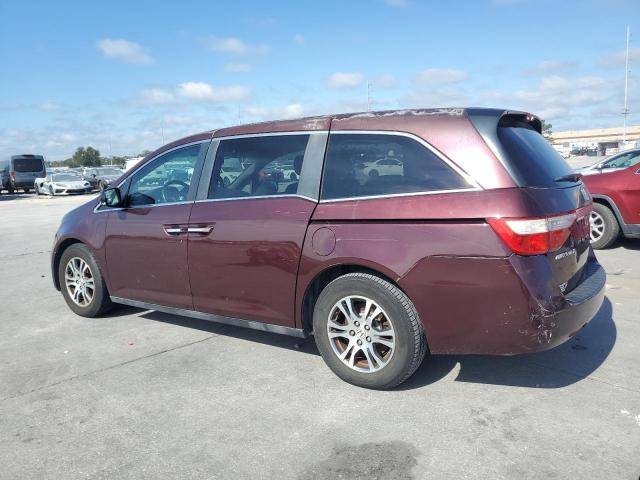 Photo 1 VIN: 5FNRL5H49BB086478 - HONDA ODYSSEY EX 