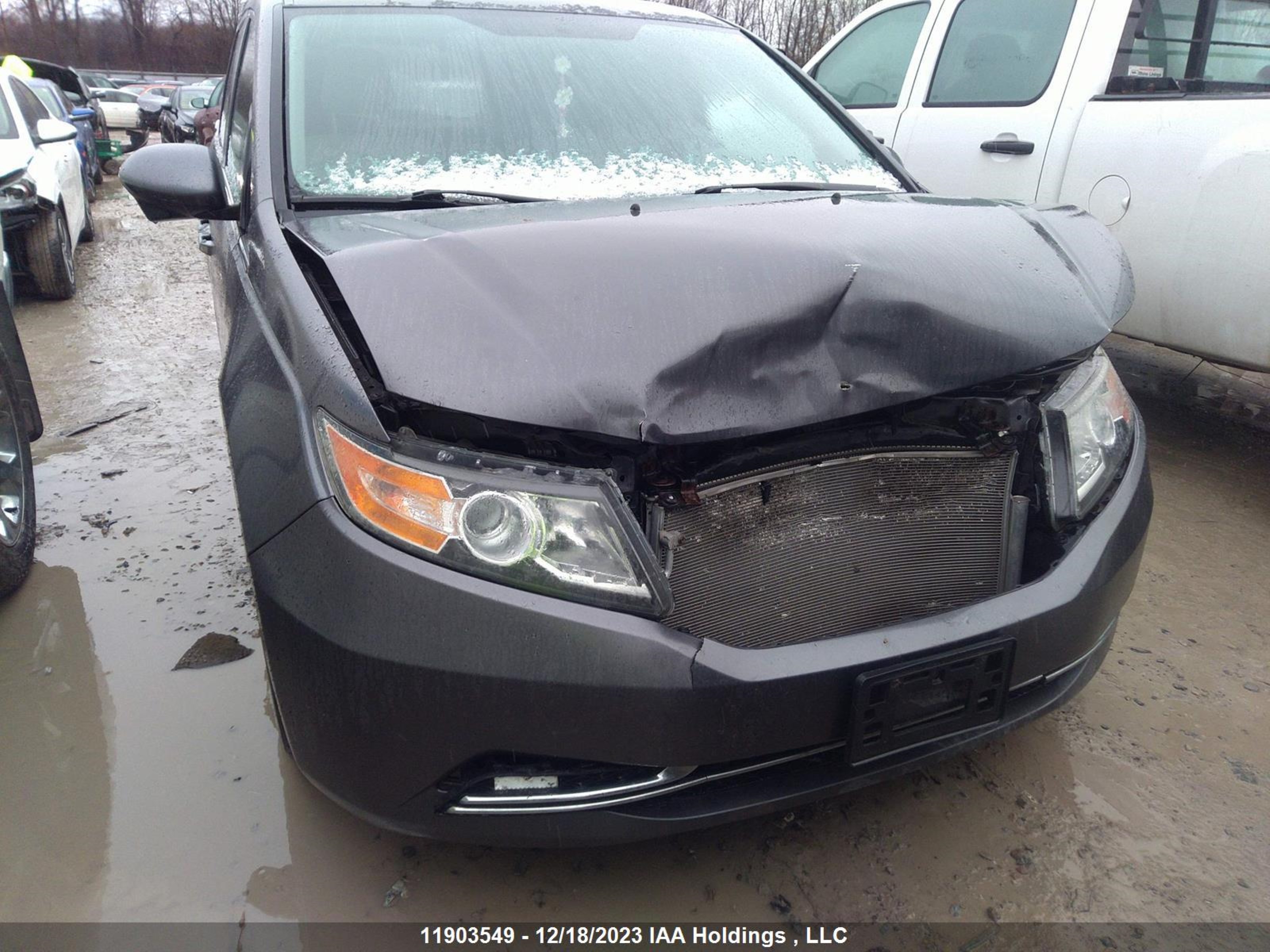 Photo 5 VIN: 5FNRL5H49EB502002 - HONDA ODYSSEY 