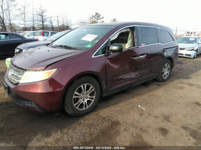 Photo 1 VIN: 5FNRL5H60BB082949 - HONDA ODYSSEY 