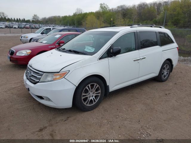 Photo 1 VIN: 5FNRL5H60CB144500 - HONDA ODYSSEY 