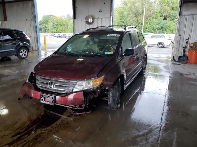 Photo 1 VIN: 5FNRL5H60DB042079 - HONDA ODYSSEY EX 