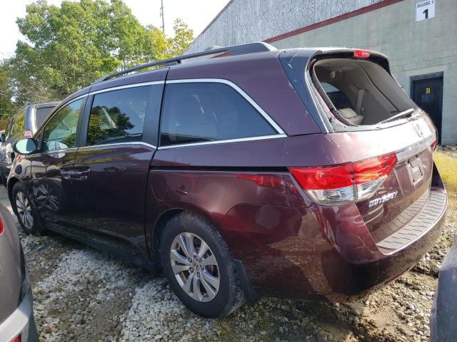 Photo 1 VIN: 5FNRL5H60EB050619 - HONDA ODYSSEY EX 