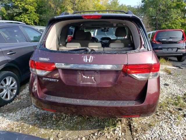 Photo 5 VIN: 5FNRL5H60EB050619 - HONDA ODYSSEY EX 