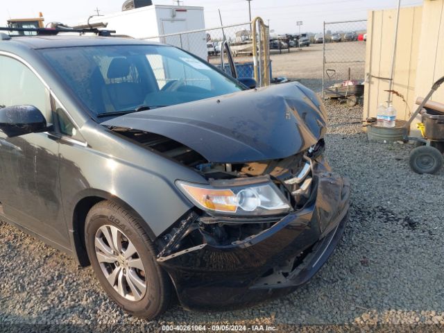 Photo 5 VIN: 5FNRL5H60FB024345 - HONDA ODYSSEY 