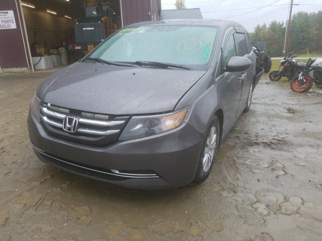 Photo 1 VIN: 5FNRL5H62EB030503 - HONDA ODYSSEY EX 