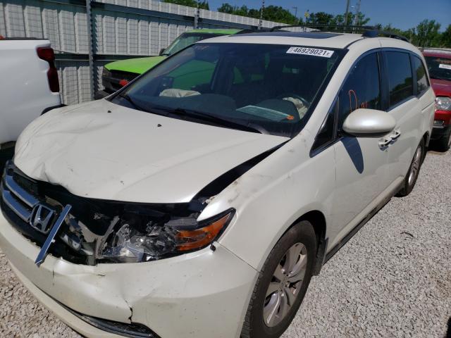 Photo 1 VIN: 5FNRL5H62EB031120 - HONDA ODYSSEY EX 