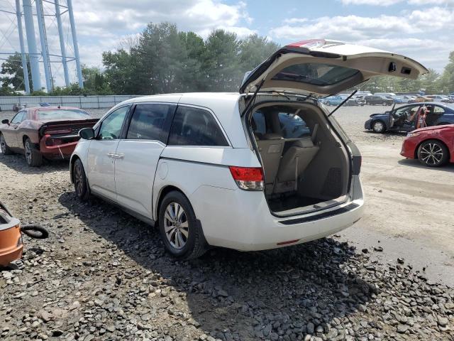 Photo 1 VIN: 5FNRL5H62EB057717 - HONDA ODYSSEY EX 