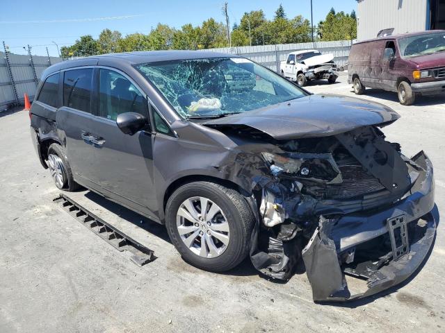 Photo 0 VIN: 5FNRL5H62GB065366 - HONDA ODYSSEY EX 