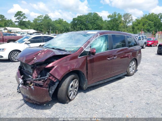 Photo 1 VIN: 5FNRL5H62GB164754 - HONDA ODYSSEY 