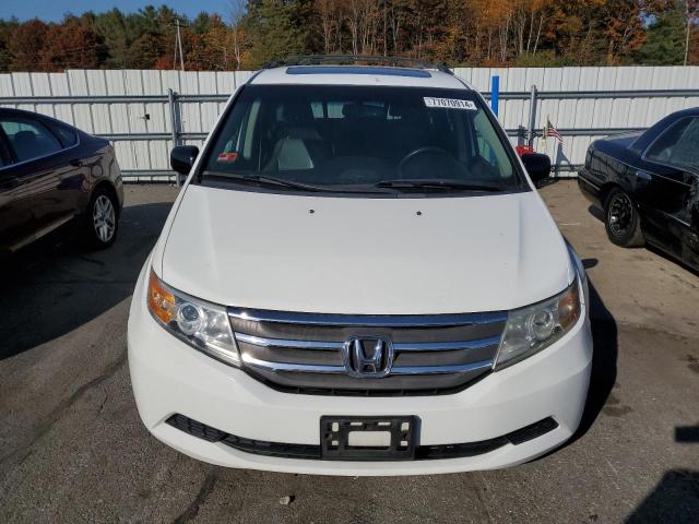 Photo 4 VIN: 5FNRL5H63BB091239 - HONDA ODYSSEY EX 