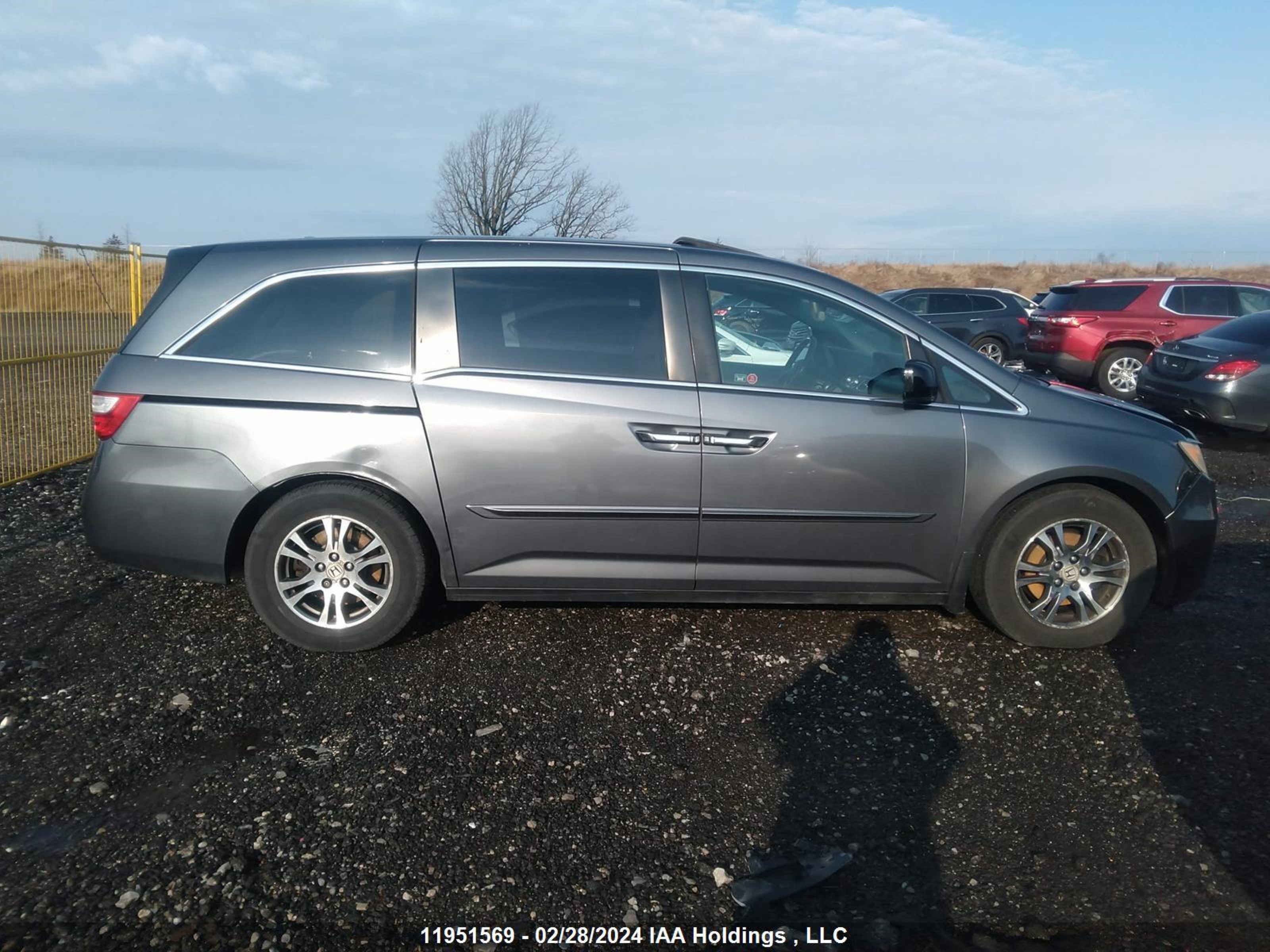 Photo 12 VIN: 5FNRL5H63BB505538 - HONDA ODYSSEY 