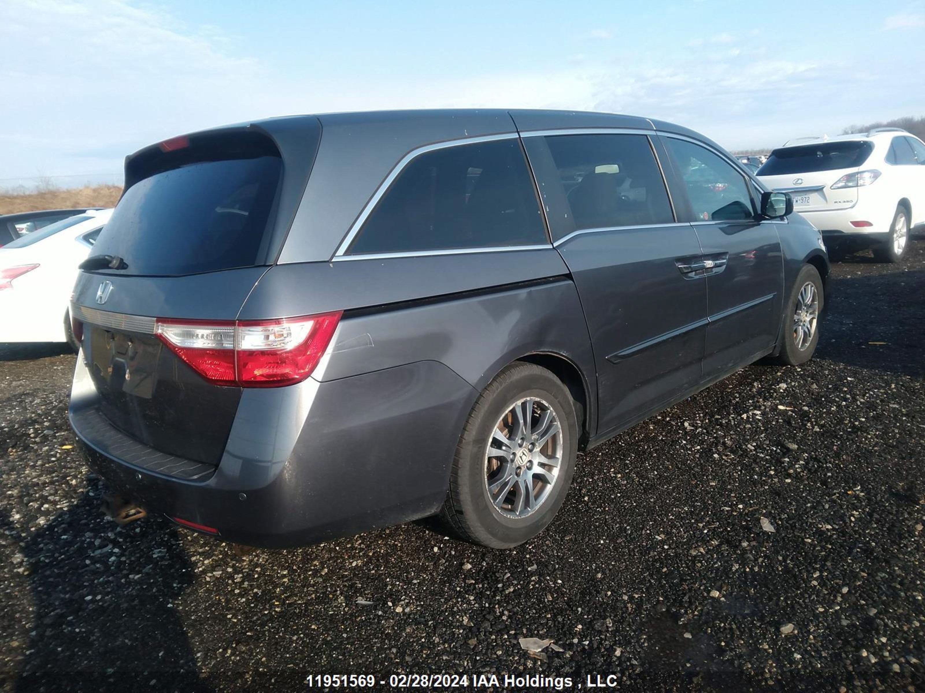 Photo 3 VIN: 5FNRL5H63BB505538 - HONDA ODYSSEY 