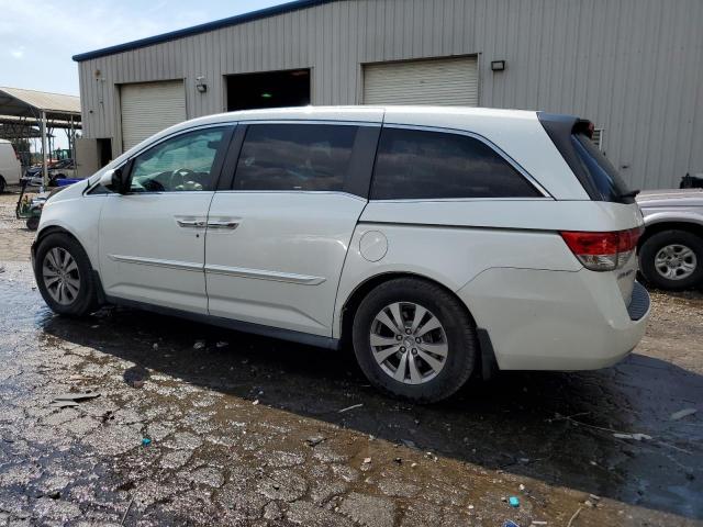 Photo 1 VIN: 5FNRL5H64EB087284 - HONDA ODYSSEY EX 