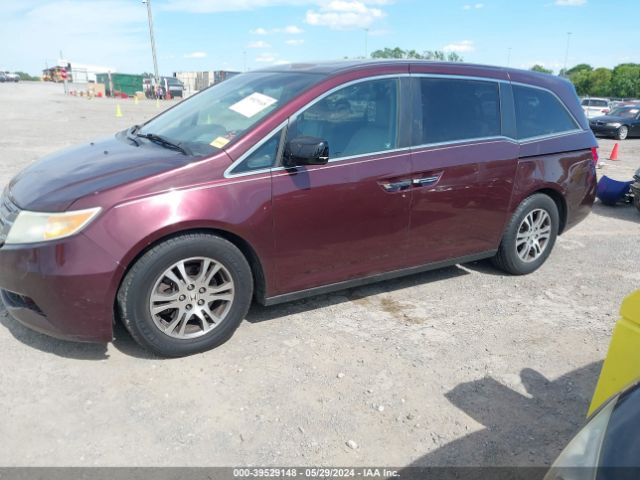 Photo 1 VIN: 5FNRL5H66BB005230 - HONDA ODYSSEY 