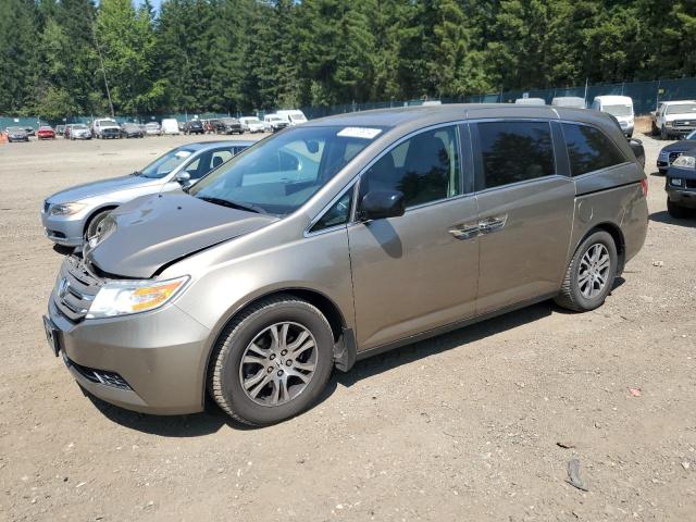 Photo 0 VIN: 5FNRL5H66BB031794 - HONDA ODYSSEY EX 