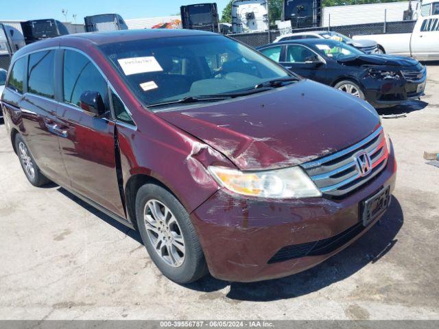 Photo 5 VIN: 5FNRL5H66DB017395 - HONDA ODYSSEY 