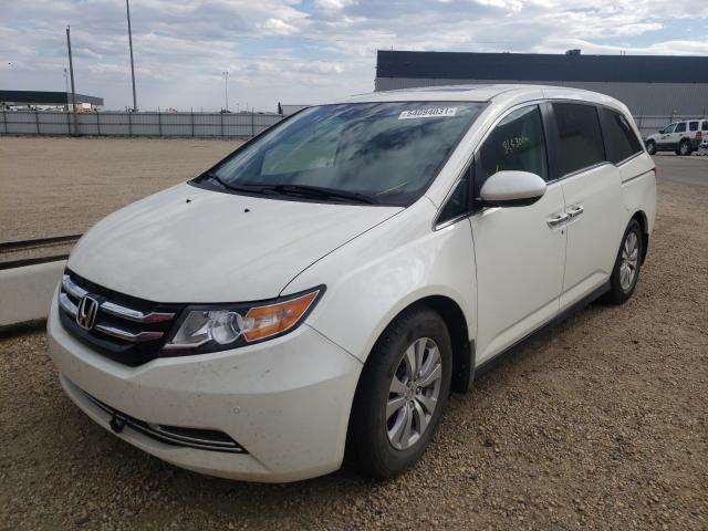 Photo 1 VIN: 5FNRL5H66GB509154 - HONDA ODYSSEY EX 