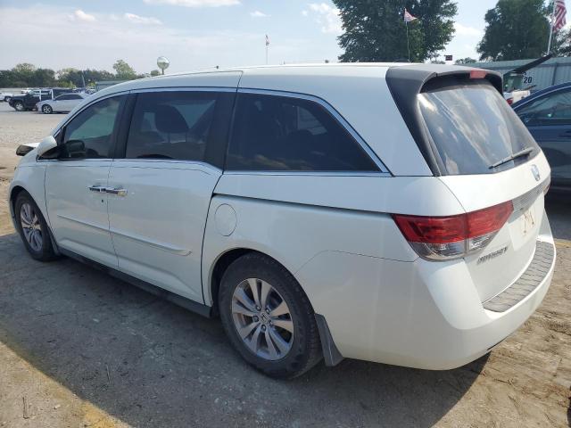 Photo 1 VIN: 5FNRL5H67EB030383 - HONDA ODYSSEY EX 