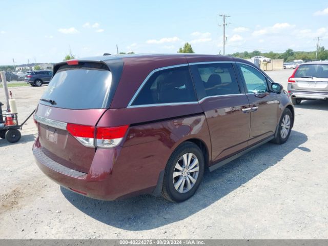 Photo 3 VIN: 5FNRL5H67GB144113 - HONDA ODYSSEY 