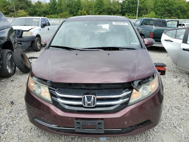 Photo 4 VIN: 5FNRL5H68EB076112 - HONDA ODYSSEY EX 