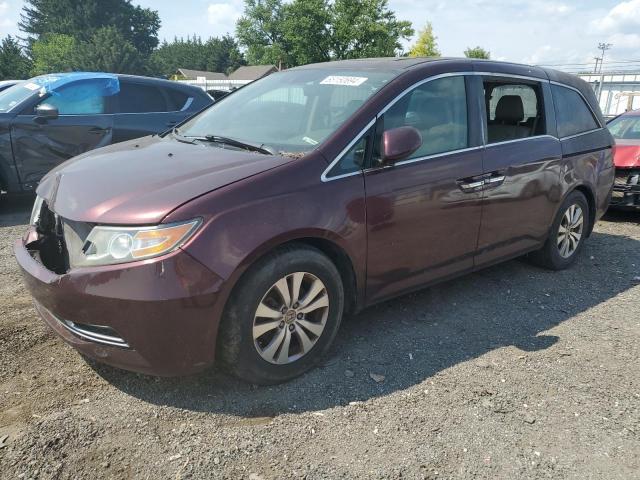 Photo 0 VIN: 5FNRL5H68EB125857 - HONDA ODYSSEY EX 