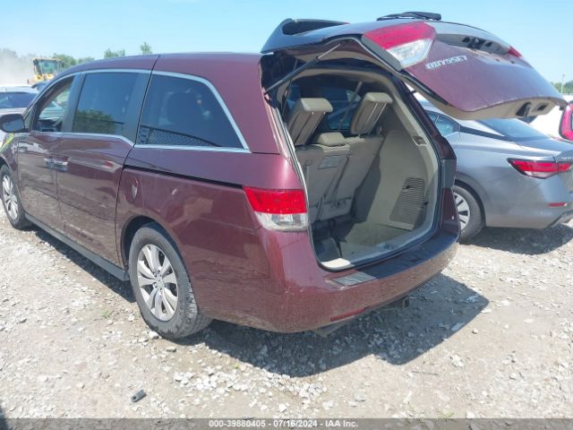 Photo 2 VIN: 5FNRL5H68GB038091 - HONDA ODYSSEY 