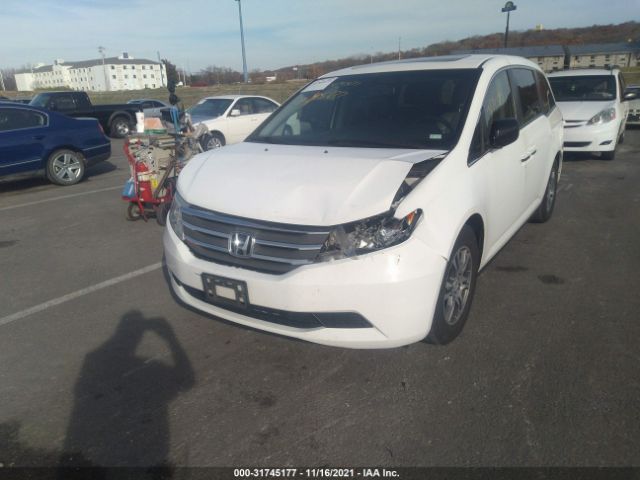 Photo 5 VIN: 5FNRL5H69BB002497 - HONDA ODYSSEY 