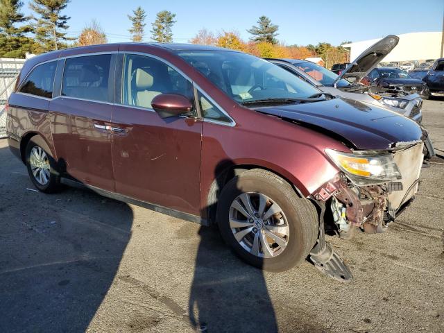 Photo 3 VIN: 5FNRL5H69EB004304 - HONDA ODYSSEY EX 