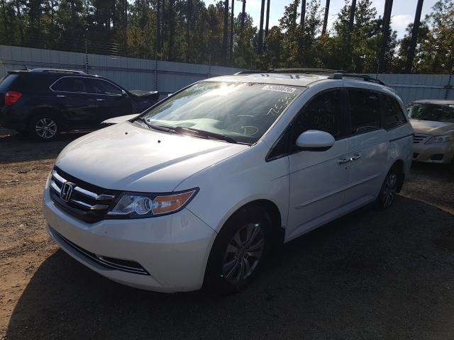 Photo 1 VIN: 5FNRL5H69EB029798 - HONDA ODYSSEY EX 