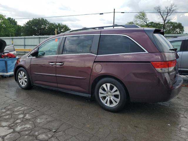 Photo 1 VIN: 5FNRL5H69EB108498 - HONDA ODYSSEY EX 