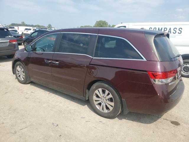 Photo 1 VIN: 5FNRL5H6XEB013268 - HONDA ODYSSEY EX 