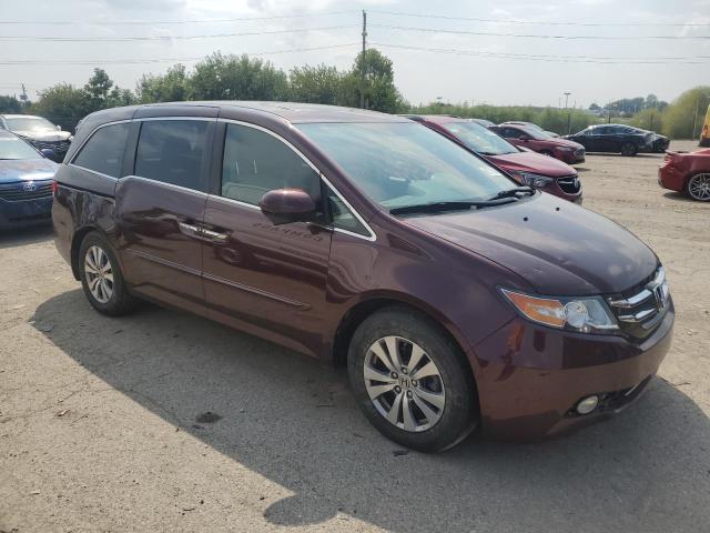 Photo 3 VIN: 5FNRL5H6XEB013268 - HONDA ODYSSEY EX 