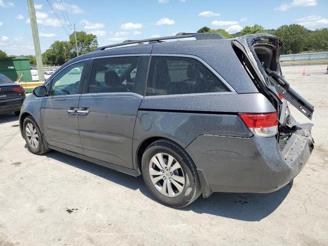 Photo 1 VIN: 5FNRL5H6XEB029406 - HONDA ODYSSEY EX 