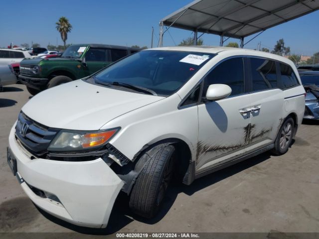 Photo 1 VIN: 5FNRL5H6XFB099828 - HONDA ODYSSEY 