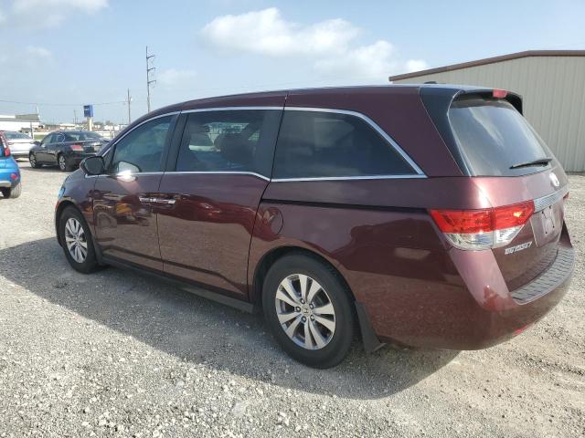 Photo 1 VIN: 5FNRL5H6XGB108299 - HONDA ODYSSEY EX 