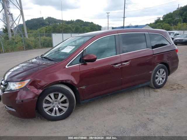 Photo 5 VIN: 5FNRL5H6XGB136099 - HONDA ODYSSEY 