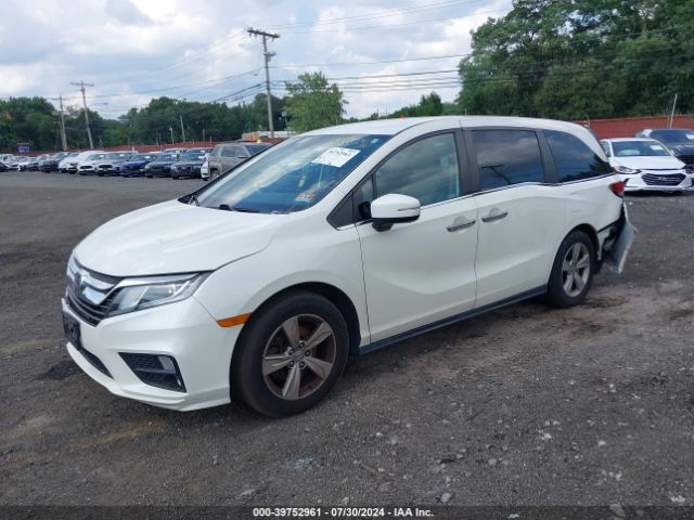 Photo 1 VIN: 5FNRL6H56KB098232 - HONDA ODYSSEY 