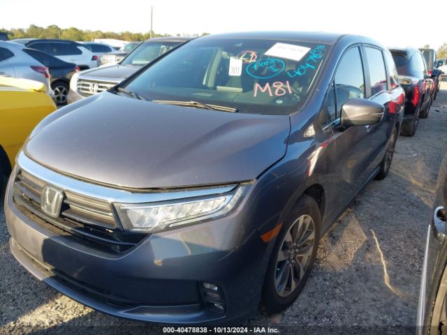 Photo 1 VIN: 5FNRL6H63RB069872 - HONDA ODYSSEY 