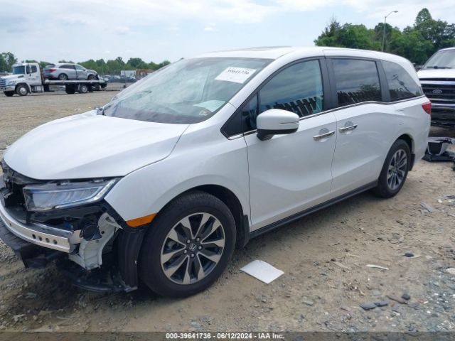 Photo 1 VIN: 5FNRL6H66RB002845 - HONDA ODYSSEY 