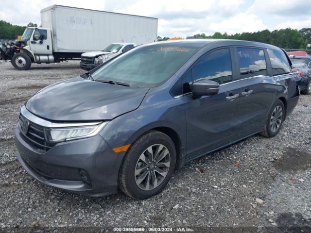 Photo 1 VIN: 5FNRL6H67RB025518 - HONDA ODYSSEY 