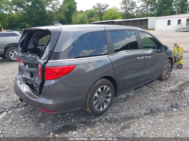 Photo 3 VIN: 5FNRL6H67RB025518 - HONDA ODYSSEY 