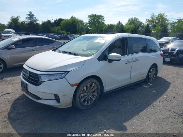 Photo 1 VIN: 5FNRL6H68PB077110 - HONDA ODYSSEY 