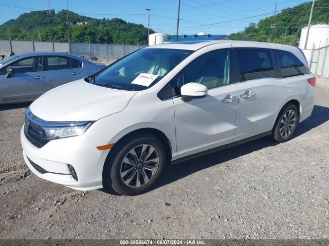 Photo 1 VIN: 5FNRL6H6XPB063158 - HONDA ODYSSEY 